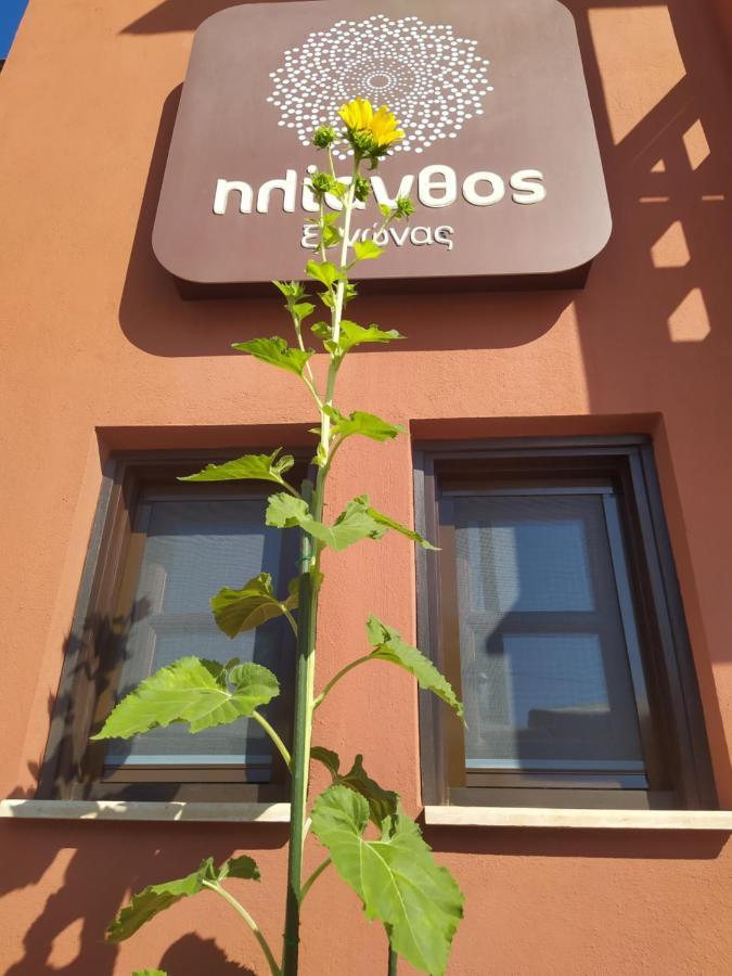 Helianthus Guesthouse Амолиани Экстерьер фото