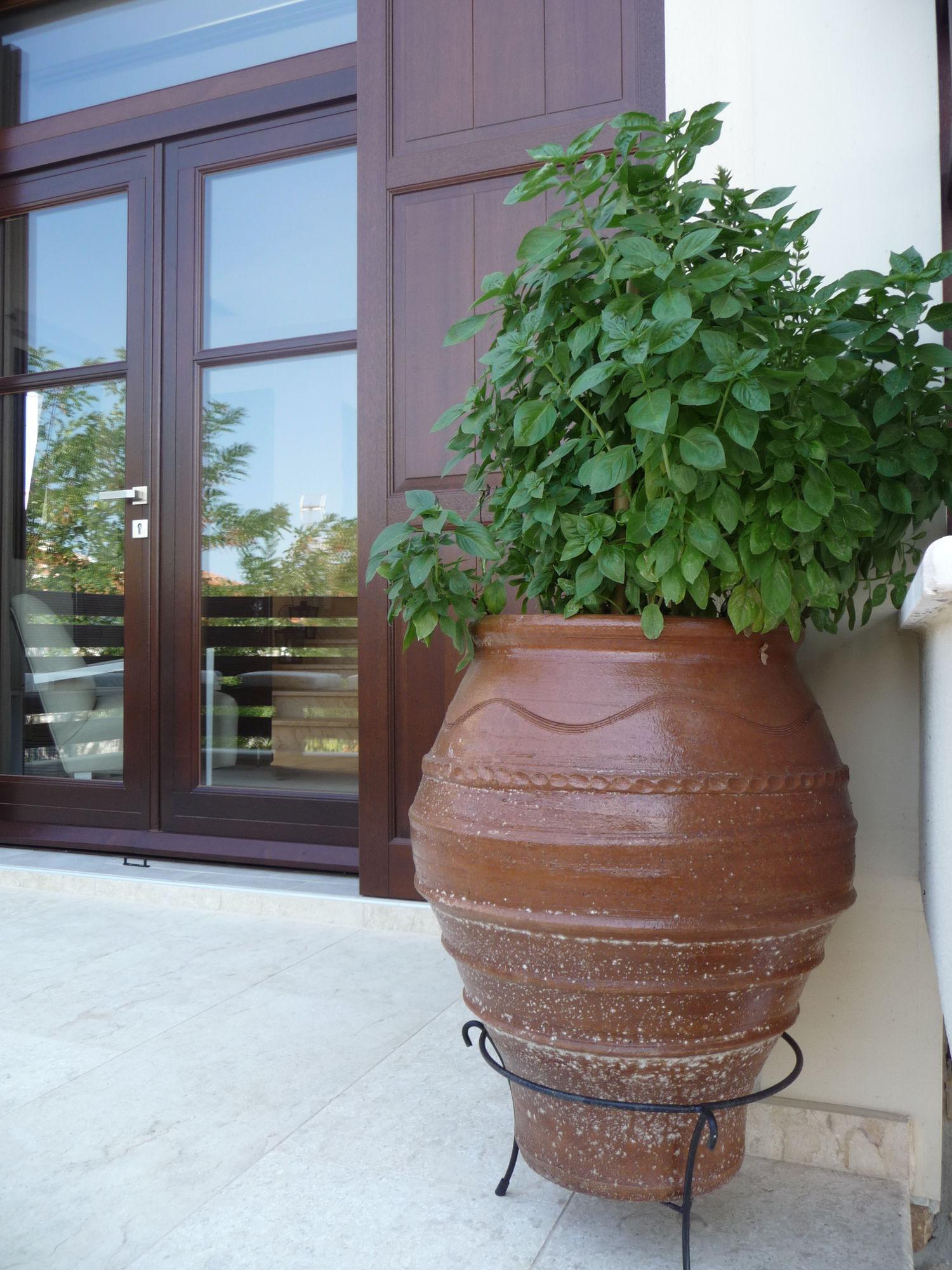 Helianthus Guesthouse Амолиани Экстерьер фото