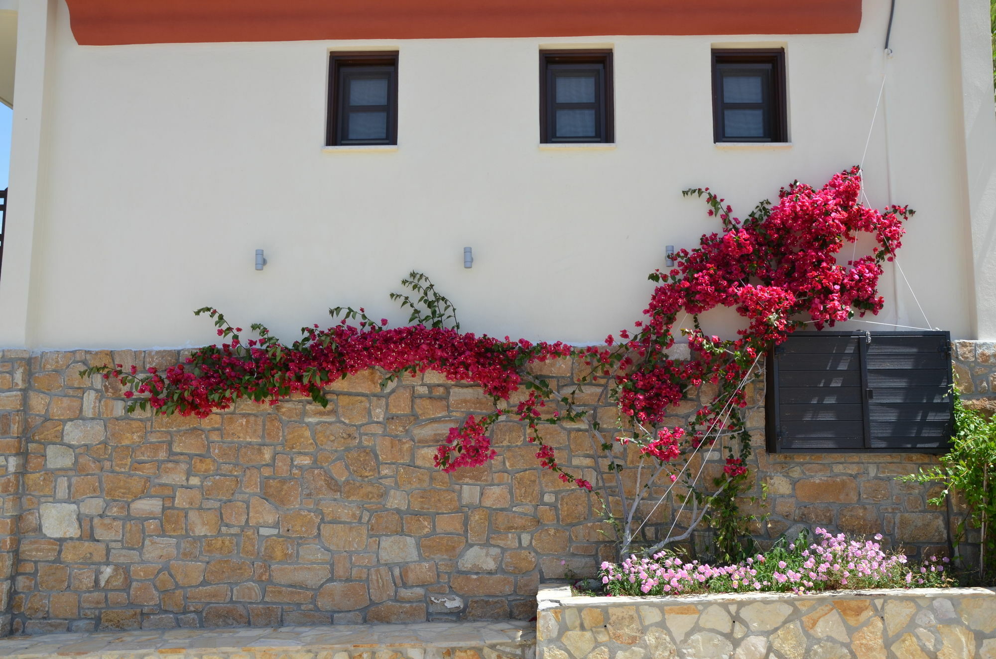 Helianthus Guesthouse Амолиани Экстерьер фото